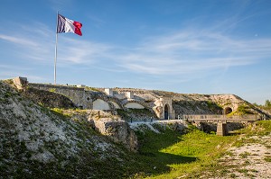 LE CHAMPAGNE, (51) MARNE, REGION GRAND EST, FRANCE 