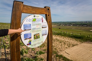 LE CHAMPAGNE, (51) MARNE, REGION GRAND EST, FRANCE 