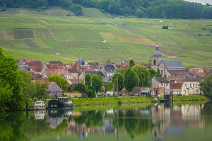 LE CHAMPAGNE, (51) MARNE, REGION GRAND EST, FRANCE 