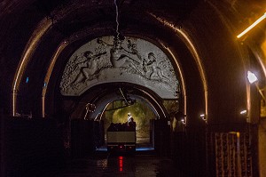 LE CHAMPAGNE, (51) MARNE, REGION GRAND EST, FRANCE 