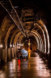 LE CHAMPAGNE, (51) MARNE, REGION GRAND EST, FRANCE 