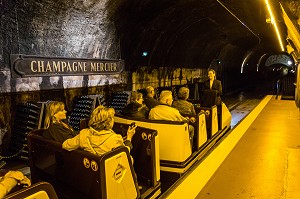 LE CHAMPAGNE, (51) MARNE, REGION GRAND EST, FRANCE 