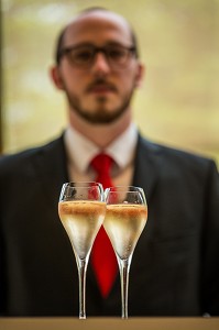 LE CHAMPAGNE, (51) MARNE, REGION GRAND EST, FRANCE 