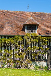 ILLUSTRATION NORMANDIE, BEUVRON EN AUGE, (14) CALVADOS, NORMANDIE, FRANCE