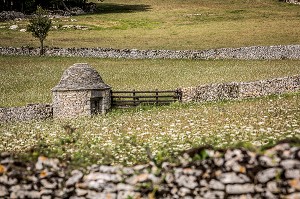LE LOT (46), OCCITANIE, FRANCE 