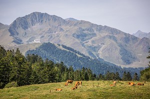 BAGNERES DE LUCHON, OCCITANIE, FRANCE 