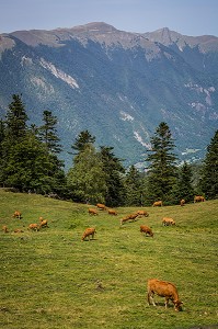 BAGNERES DE LUCHON, OCCITANIE, FRANCE 