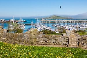 DUBLIN, VOYAGE EN CAPITALE, IRLANDE 