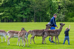 DUBLIN, VOYAGE EN CAPITALE, IRLANDE 