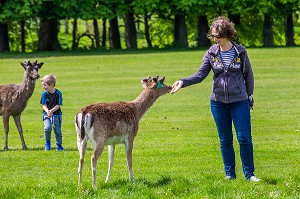 DUBLIN, VOYAGE EN CAPITALE, IRLANDE 