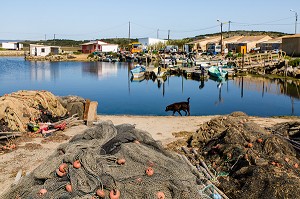 DECOUVERTE DE GRUISSAN, FRANCE 