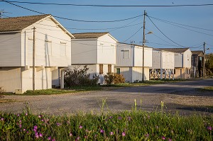 DECOUVERTE DE GRUISSAN, FRANCE 