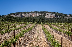 DECOUVERTE DE GRUISSAN, FRANCE 