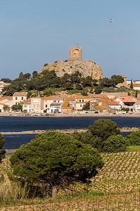 DECOUVERTE DE GRUISSAN, FRANCE 