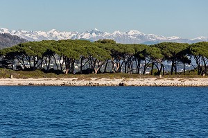 ILES DU LERINS, ILE SAINTE MARGUERITE ET ALPES, (06) ALPES MARITIMES, REGION SUD 