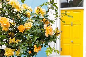 PORTE MAISON PORTOBELLO ROAD, PORTOBELLO MARKET, QUARTIER DE NOTTING HILL, LONDRES, ANGLETERRE 