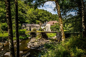 MOULIN DE LA FOLIE, SENTIER DES PEINTRES, BORDS DE LA RIVIERE SEDELLE QUI A ETE LA PLUS PEINTE AVEC SES MOULINS, NOTAMMENT LE MOULIN DE LA FOLIE, PEINTURE DE PICABIA, CROZANT, (23) CREUSE, NOUVELLE AQUITAINE, FRANCE 