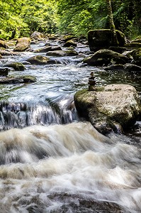 SENTIER DES PEINTRES, BORDS DE LA RIVIERE SEDELLE QUI A ETE LA PLUS PEINTE AVEC SES MOULINS, NOTAMMENT LE MOULIN DE LA FOLIE, PEINTURE DE PICABIA, CROZANT, (23) CREUSE, NOUVELLE AQUITAINE 