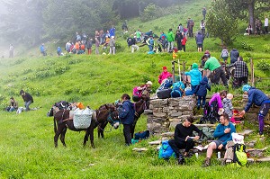 TROUBADE OU TROBADA, TRADITION CATALANE, ASCENSION A PIED DU PIC DU CANIGOU POUR DEPOSER UN FAGOT DE SARMENTS DE VIGNE (66) PYRENEES-ORIENTALES, LANGUEDOC-ROUSSILLON, OCCITANIE 