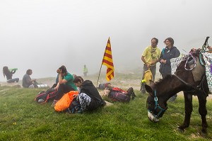 TROUBADE OU TROBADA, TRADITION CATALANE, ASCENSION A PIED DU PIC DU CANIGOU POUR DEPOSER UN FAGOT DE SARMENTS DE VIGNE (66) PYRENEES-ORIENTALES, LANGUEDOC-ROUSSILLON, OCCITANIE 