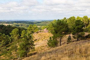 VAL SANS RETOUR, FORET DE BROCELIANDE, LIEU LEGENDAIRE, CONNU COMME LE DOMAINE DE LA FEE MORGANE, DEMI-SOEUR DU ROI ARTHUR, ELLE CONNAIT LA MAGIE DE MERLIN, TREHORENTEUC (35), BRETAGNE, FRANCE 