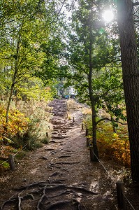 VAL SANS RETOUR, FORET DE BROCELIANDE, LIEU LEGENDAIRE, CONNU COMME LE DOMAINE DE LA FEE MORGANE, DEMI-SOEUR DU ROI ARTHUR, ELLE CONNAIT LA MAGIE DE MERLIN, TREHORENTEUC (35), BRETAGNE, FRANCE 