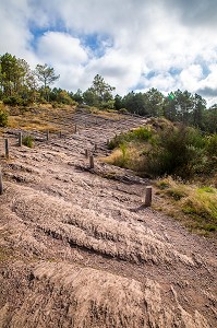 VAL SANS RETOUR, FORET DE BROCELIANDE, LIEU LEGENDAIRE, CONNU COMME LE DOMAINE DE LA FEE MORGANE, PAIMPONT, BRETAGNE, FRANCE 