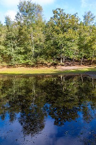 VAL SANS RETOUR, FORET DE BROCELIANDE, LIEU LEGENDAIRE, CONNU COMME LE DOMAINE DE LA FEE MORGANE, PAIMPONT, BRETAGNE, FRANCE 