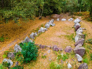 JARDIN AUX MOINES, MONUMENT MEGALITHIQUE DONT LA FONCTION RESTE ENCORE OBSCURE, NEANT SUR YVEL (35), BRETAGNE, FRANCE 