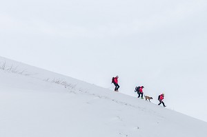 CARAVANE TERRESTRE DE SAUVETEURS, EXERCICE NATIONAL SAPEURS-POMPIERS DE SECOURS EN AVALANCHE, COL DU LAUTARET, HAUTES ALPES (05) 