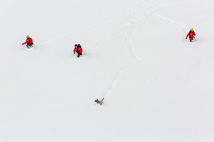 CARAVANE TERRESTRE DE SAUVETEURS, EXERCICE NATIONAL SAPEURS-POMPIERS DE SECOURS EN AVALANCHE, COL DU LAUTARET, HAUTES ALPES (05) 