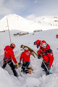 DEGAGEMENT D'UNE VICTIME ENSEVELI, EXERCICE NATIONAL SAPEURS-POMPIERS DE SECOURS EN AVALANCHE, COL DU LAUTARET, HAUTES ALPES (05) 