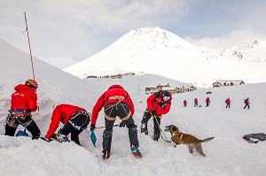 DEGAGEMENT D'UNE VICTIME ENSEVELI, EXERCICE NATIONAL SAPEURS-POMPIERS DE SECOURS EN AVALANCHE, COL DU LAUTARET, HAUTES ALPES (05) 