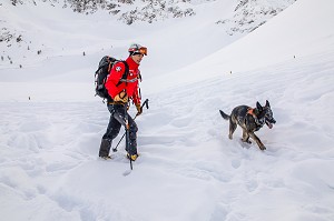 BINOME MAITRE-CHIEN D'AVALANCHE DE RECHERCHE DE VICTIME DANS UNE AVALANCHE, EXERCICE NATIONAL SAPEURS-POMPIERS DE SECOURS EN AVALANCHE, COL DU LAUTARET, HAUTES ALPES (05) 