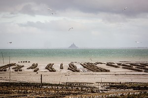 PARCS A HUITRES, CANCALE, ILLE-ET-VILAINE 