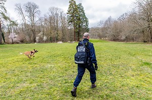CONDUCTEUR CYNOTECHNIQUE ET SON CHIEN, BERGER BELGE MALINOIS, RECHERCHE DE PERSONNES EGAREES OU DISPARUES, SDIS 77, SEINE ET MARNE, ILE DE FRANCE 