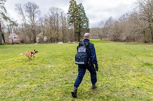 CONDUCTEUR CYNOTECHNIQUE ET SON CHIEN, BERGER BELGE MALINOIS, RECHERCHE DE PERSONNES EGAREES OU DISPARUES, SDIS 77, SEINE ET MARNE, ILE DE FRANCE 