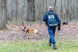 CONDUCTEUR CYNOTECHNIQUE ET SON CHIEN, BERGER BELGE MALINOIS, RECHERCHE DE PERSONNES EGAREES OU DISPARUES, SDIS 77, SEINE ET MARNE, ILE DE FRANCE 