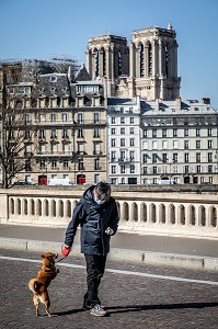 HOMME PROMENANT SON CHIEN AVEC UN MASQUE DEVANT NOTRE DAME ET L'ILE DE LA CITE, PONT LOUIS PHILIPPE, PARIS, 1ER ARRONDISSEMENT, ILE-DE-FRANCE  