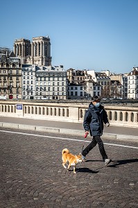 HOMME PROMENANT SON CHIEN AVEC UN MASQUE DEVANT NOTRE DAME ET L'ILE DE LA CITE, PONT LOUIS PHILIPPE, PARIS, 1ER ARRONDISSEMENT, ILE-DE-FRANCE  