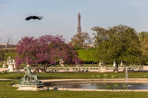 JARDIN DES TUILERIES, 1ER ARRONDISSEMENT, PARIS, FRANCE 