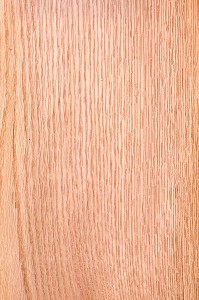 CHENE D'AMERIQUE, QUERCUS RUBRA 