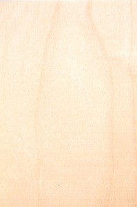 BOULEAU, BETULA 