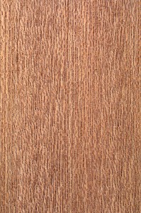 MERANTI ROUGE, SHOREA SPP 