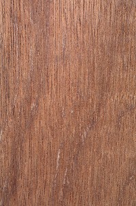 MERANTI ROUGE FONCE, SHOREA SPP 