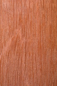 KAPUR, DRYOBALANOPS SPP 