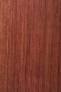 JATOBA, HYMENAEA COURBARIL 