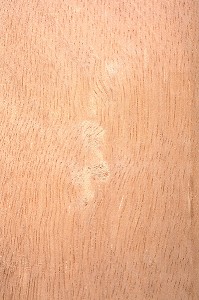 CURUPIXA, MICROPHOLIS SPP 