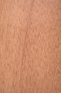 KAPUR, DRYOBALANOPS SPP 