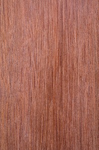 KERUING, DIPTEROCARPUS SPP 